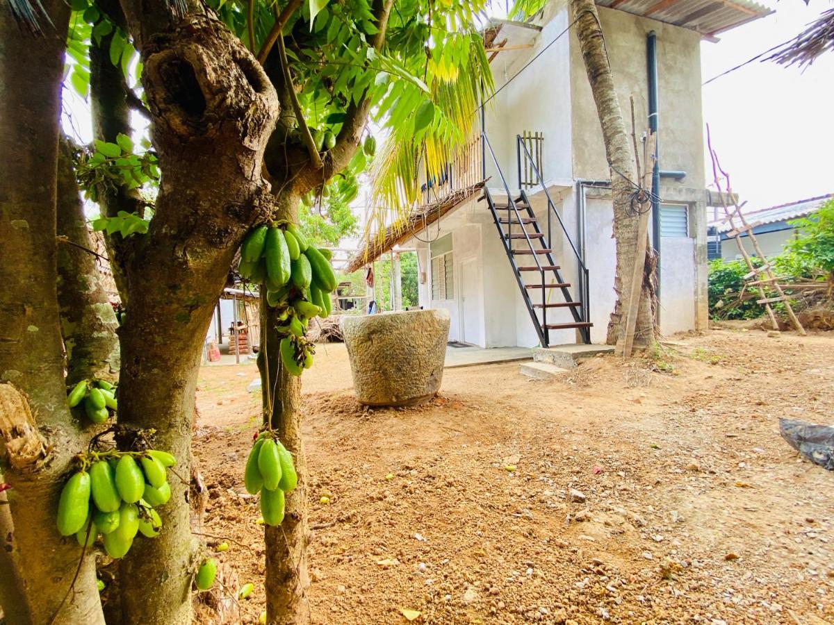 Hiriketiya Orchid Villa ディックウェラ エクステリア 写真