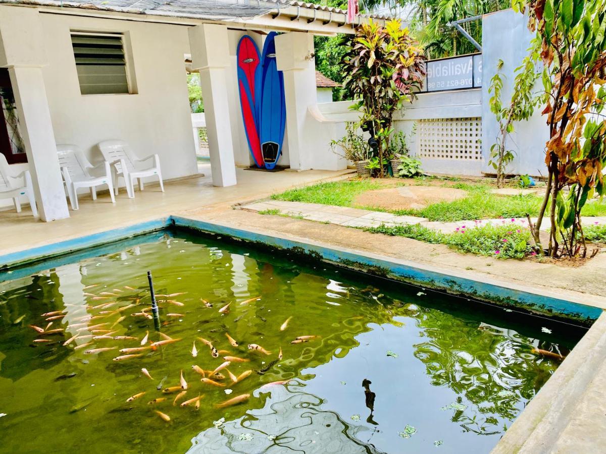 Hiriketiya Orchid Villa ディックウェラ エクステリア 写真