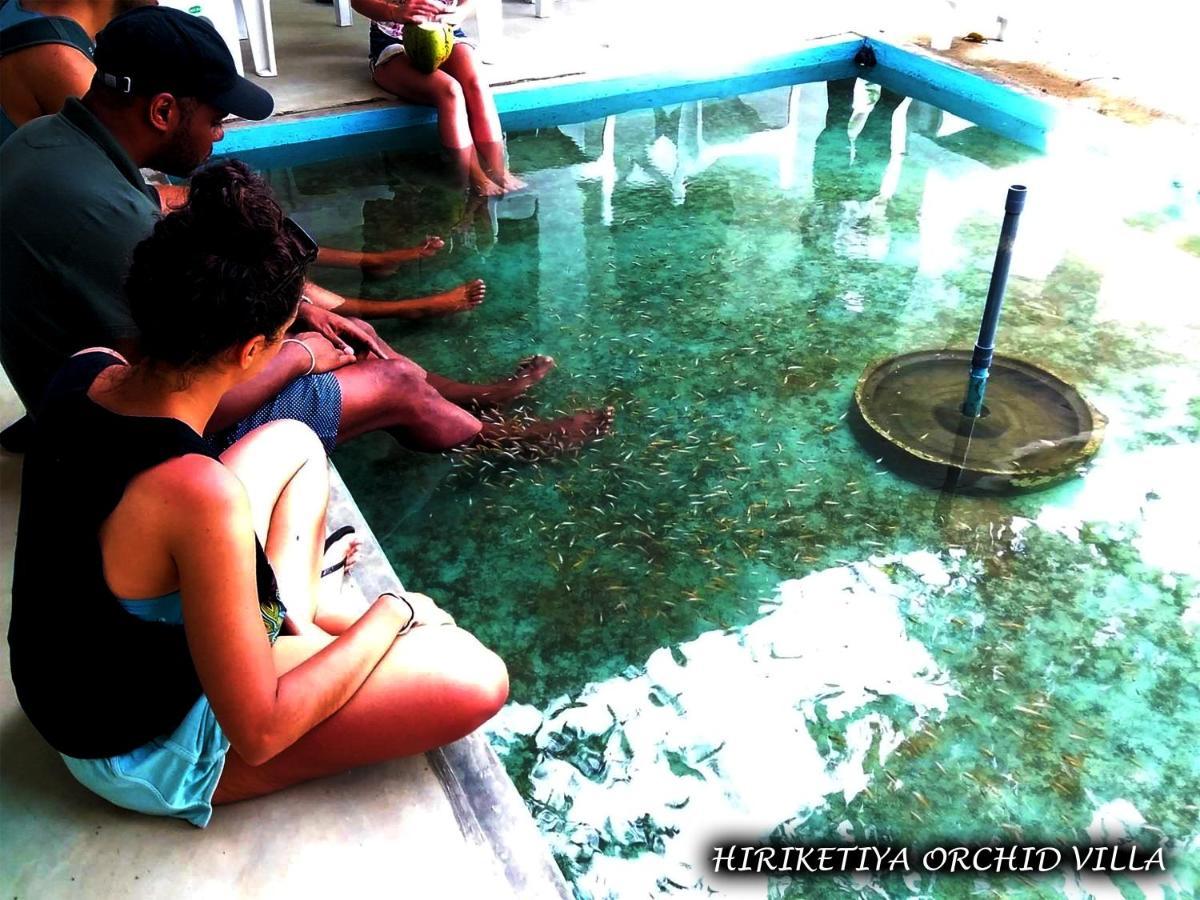 Hiriketiya Orchid Villa ディックウェラ エクステリア 写真
